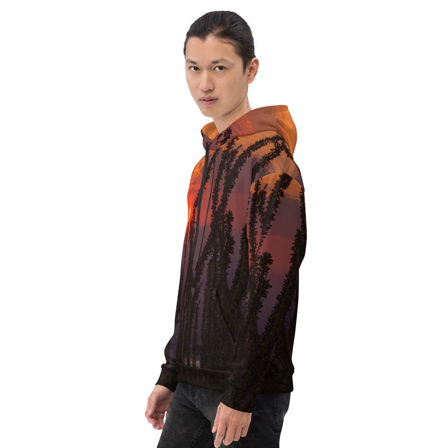 Ocotillo Sunset Unisex Hoodie